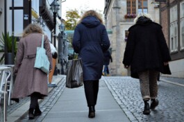 Transeuropa, Hildesheim, Europa und die Welt 